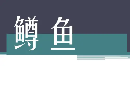 鳟鱼初中音乐PPT课件
