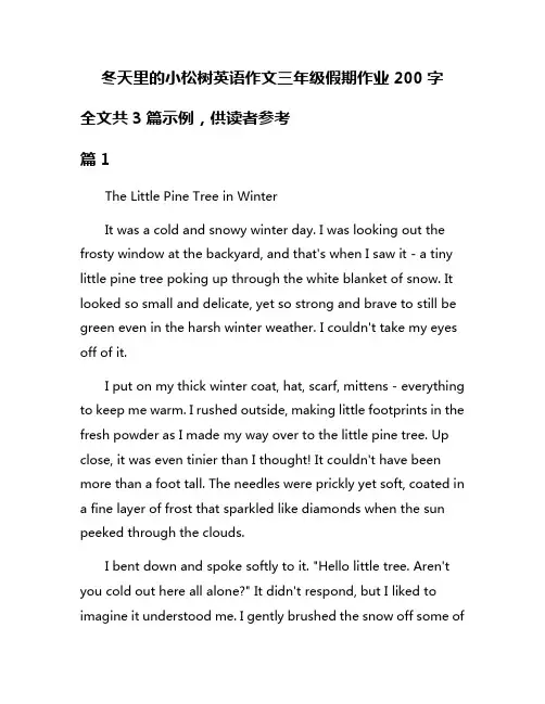 冬天里的小松树英语作文三年级假期作业200字