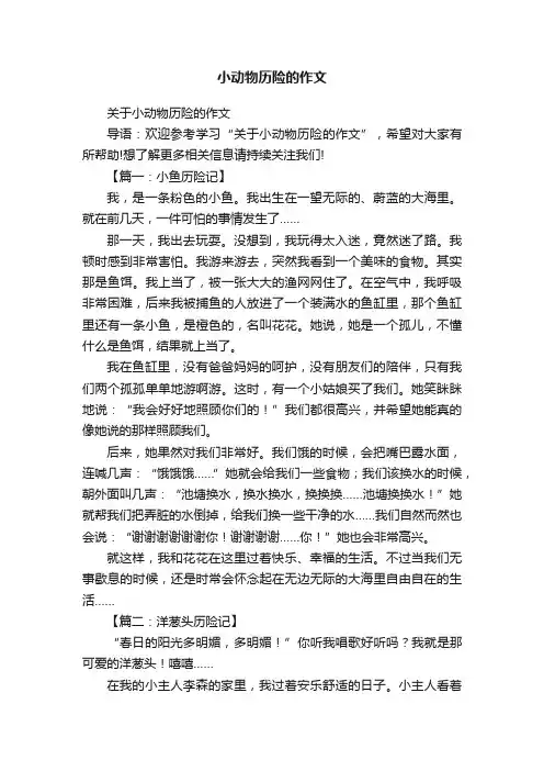 小动物历险的作文