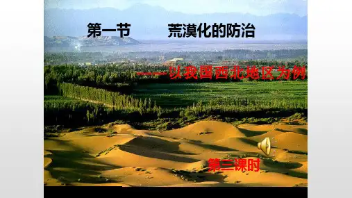 第二章   第一节  第三课时