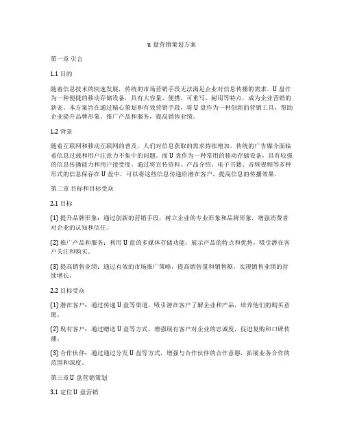 u盘营销策划方案