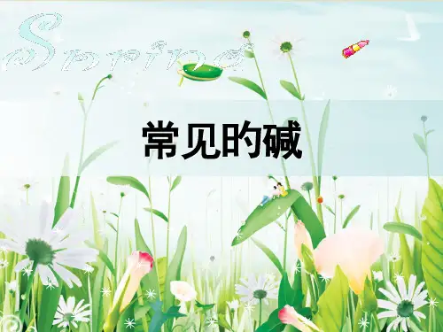 常见的碱专业知识讲座