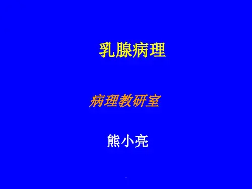 乳腺病理PPT课件