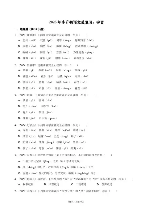 2025年小升初语文总复习：字音附答案解析