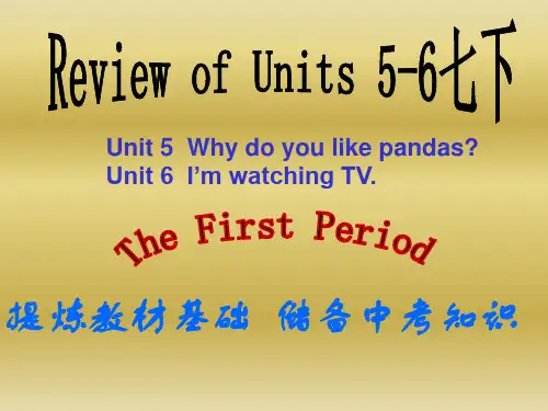 吉林省通化市外国语学校九年级英语中考复习课件：七下ReviewUnits5-6(共20张PPT)
