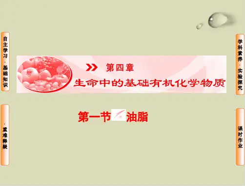 生命中的基础有机化学物质PPT下载7 1