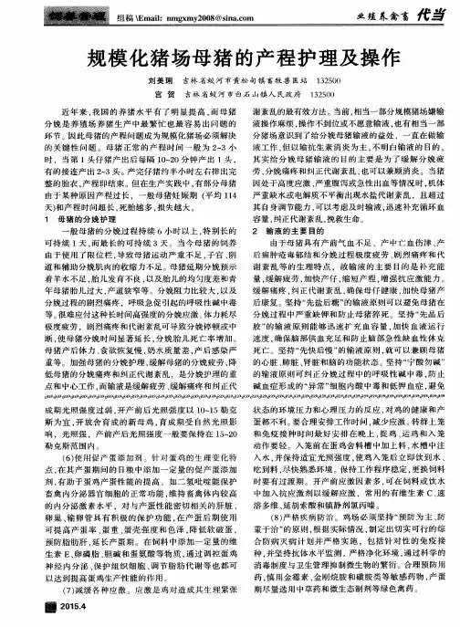 规模化猪场母猪的产程护理及操作