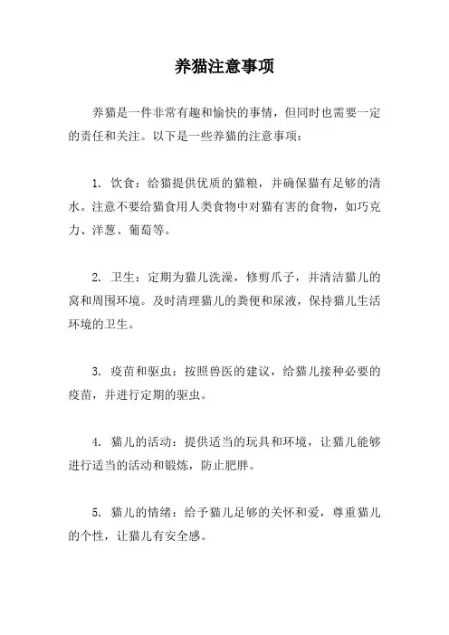 养猫注意事项