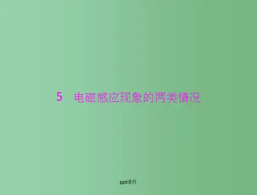 高中物理 第四章 5 电磁感应现象的两类情况 新人教版选修3-2