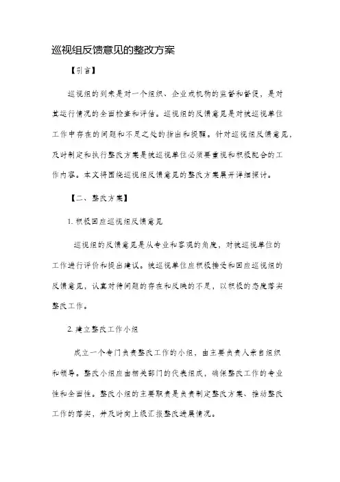 巡视组反馈意见的整改方案