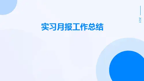 实习月报工作总结PPT