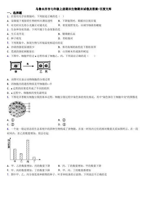 乌鲁木齐市七年级上册期末生物期末试卷及答案-百度文库