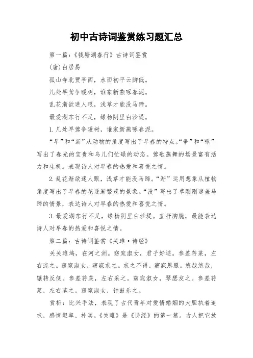 初中古诗词鉴赏练习题汇总_作文