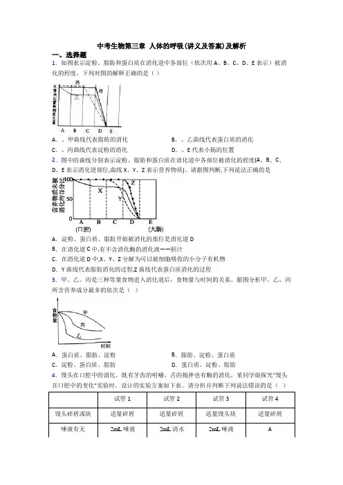 中考生物第三章 人体的呼吸(讲义及答案)及解析