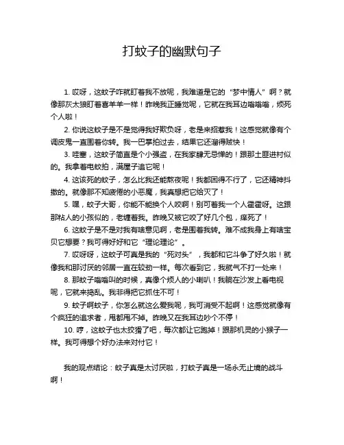 打蚊子的幽默句子