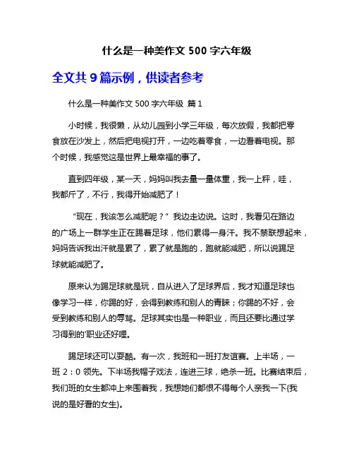什么是一种美作文500字六年级