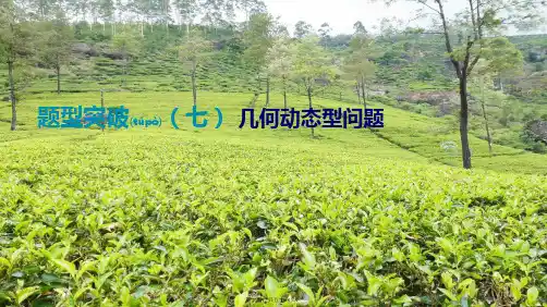 中考数学总复习 题型突破07 几何动态型问题课件