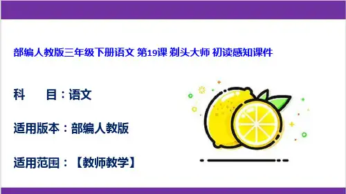 部编人教版三年级下册语文 第19课 剃头大师 初读感知课件