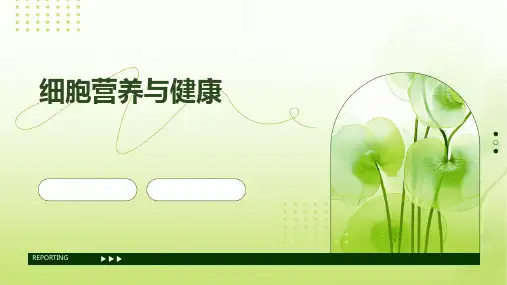 细胞营养与健康