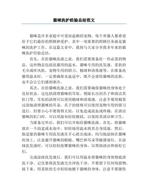 猫咪洗护经验总结范文