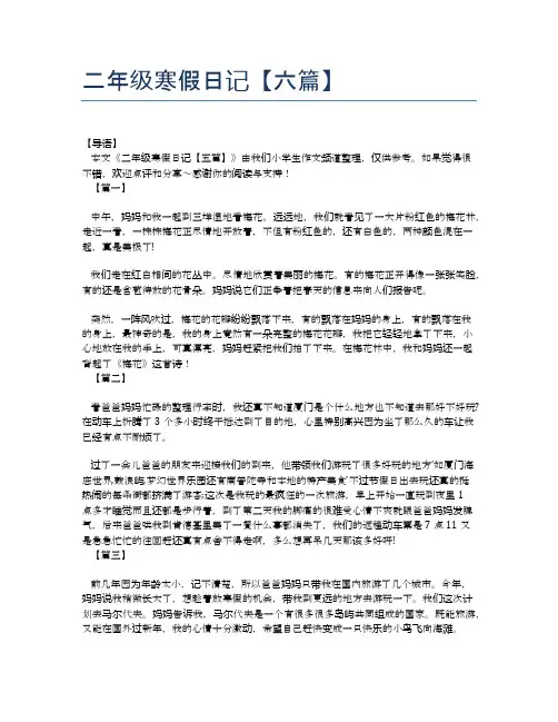 二年级寒假日记【六篇】