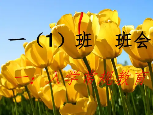 小学一年级主题班会精品《入学常规教育》