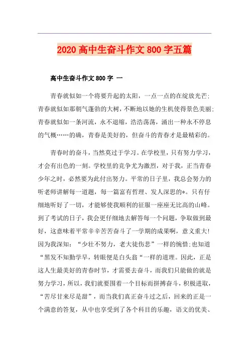 高中生奋斗作文800字五篇