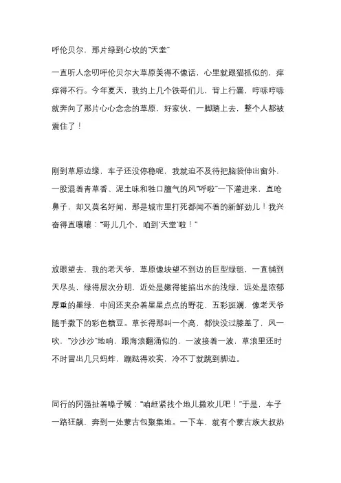 描述呼伦贝尔大草原自然景观