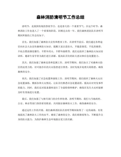 森林消防清明节工作总结