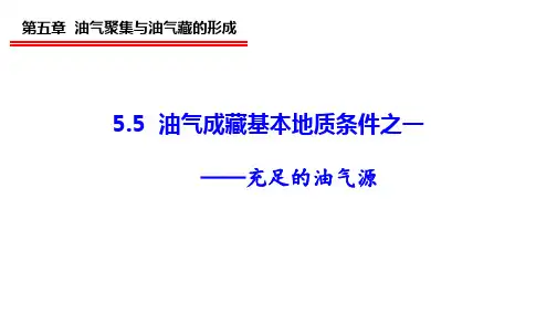 5.5 油气成藏基本地质条件之一——充足的油气源
