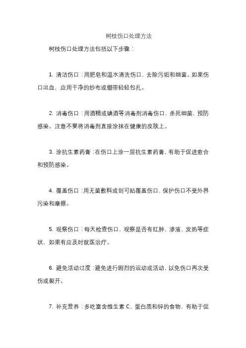 树枝伤口处理方法
