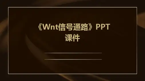 《WNT信号通路》课件
