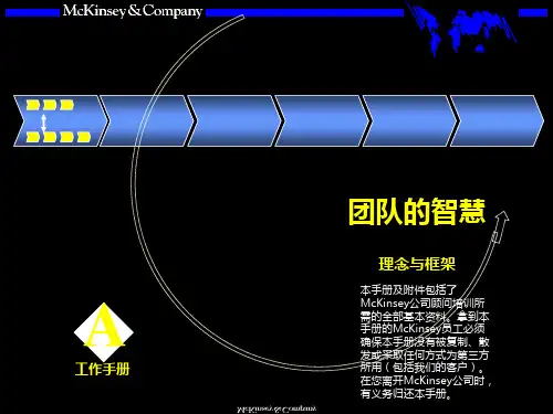 团队的智慧内部培训手册 
