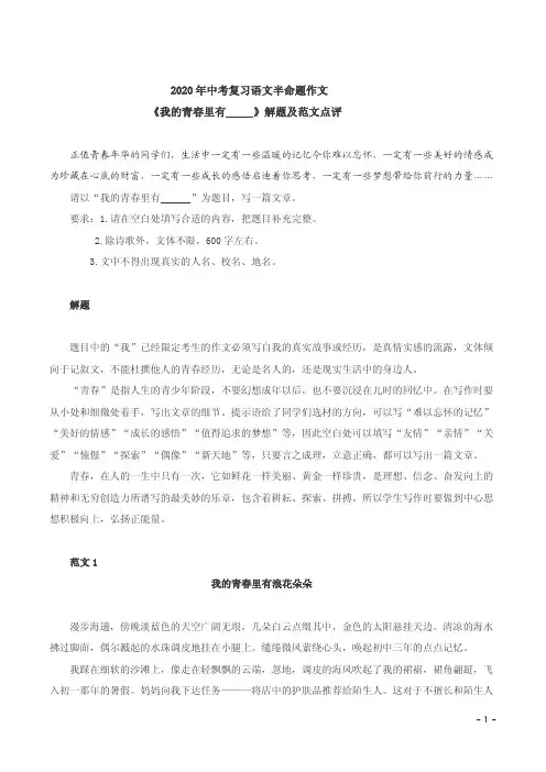 2020年中考复习语文半命题作文《我的青春里有      》解题及范文点评