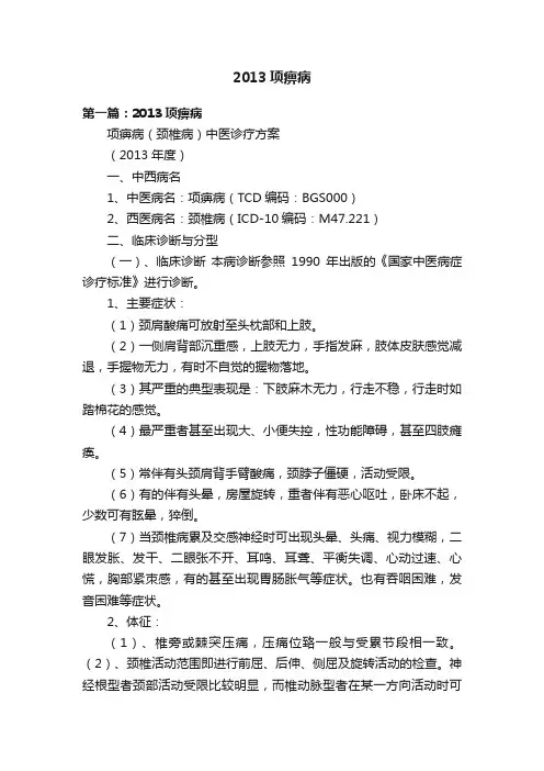 2013项痹病