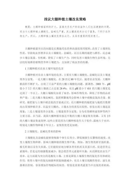 浅议大棚种植土壤改良策略