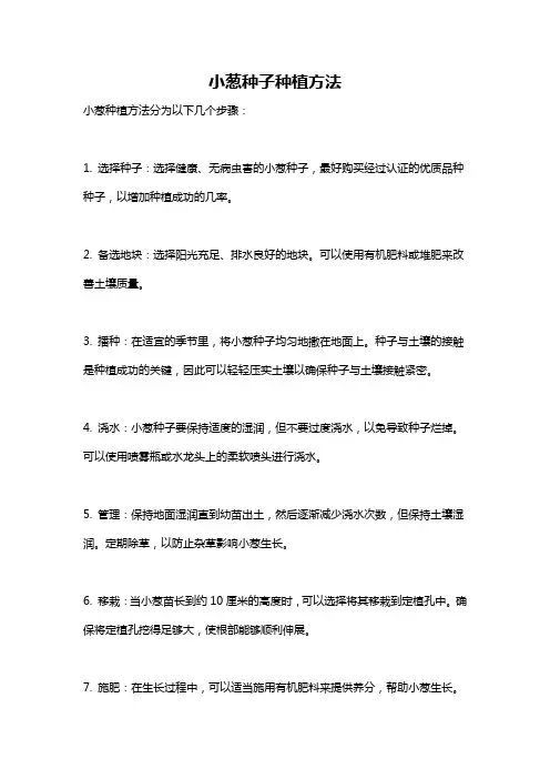小葱种子种植方法