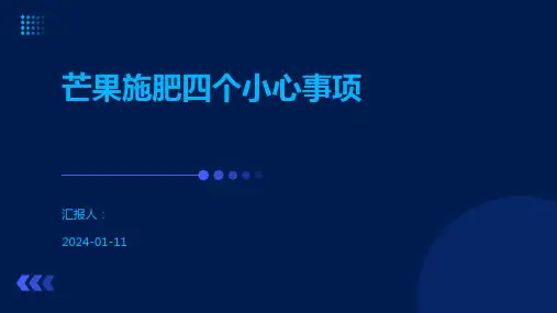 芒果施肥四个小心事项