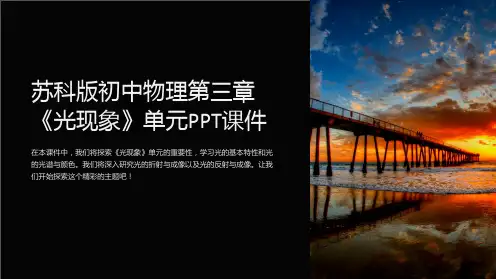 苏科版初中物理第三章《光现象》单元课件