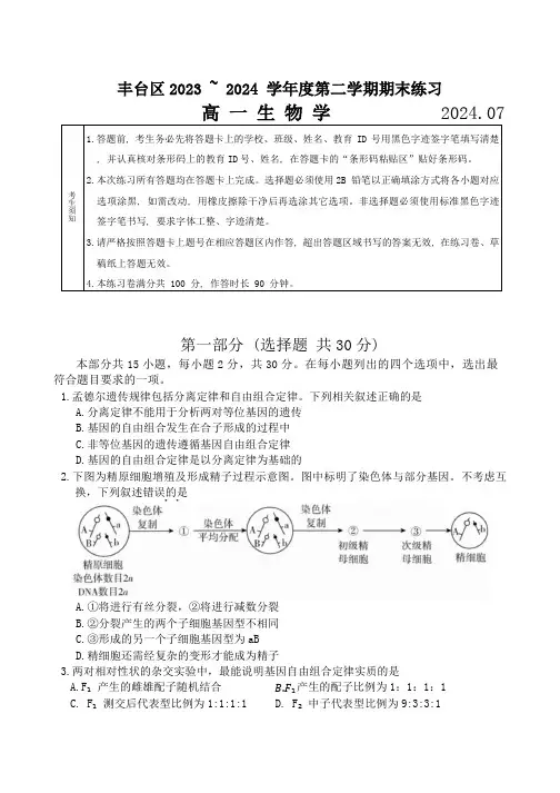 北京市丰台区2023-2024学年高一下学期7月期末考试生物学试卷(含答案)