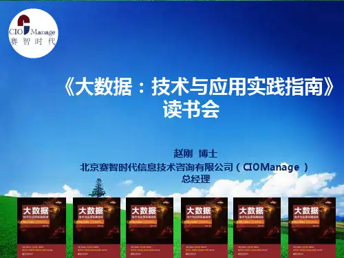 大数据：技术与应用实践指南