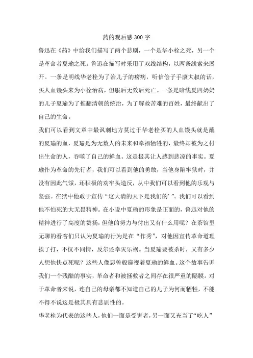 药的观后感300字