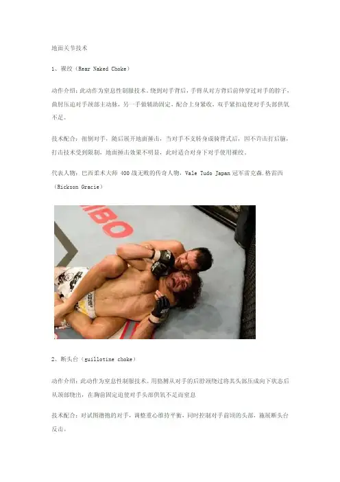 综合格斗技术用语介绍（二）