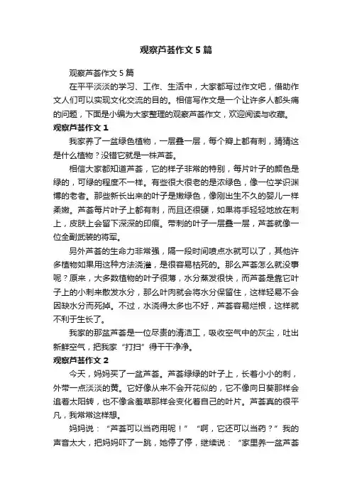 观察芦荟作文5篇