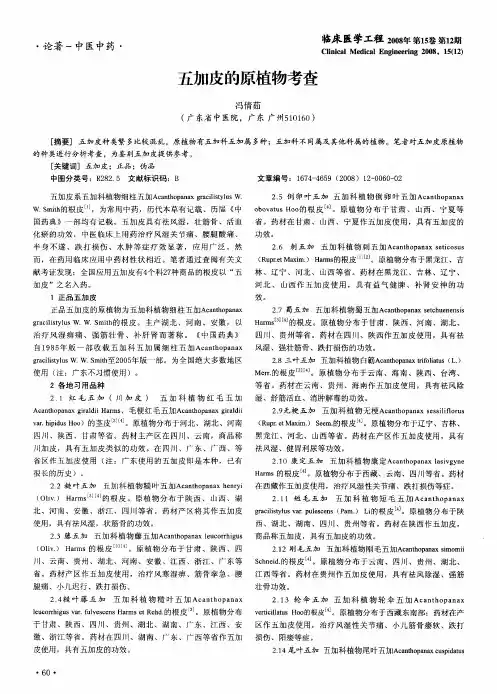 五加皮的原植物考查