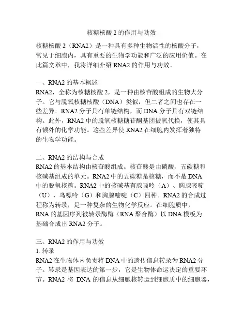 核糖核酸2的作用与功效