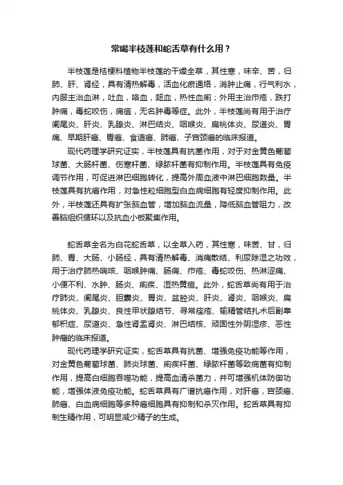 常喝半枝莲和蛇舌草有什么用？