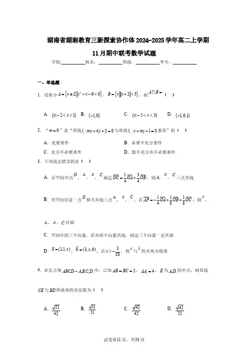 湖南省湖湘教育三新探索协作体2024-2025学年高二上学期11月期中联考数学试题