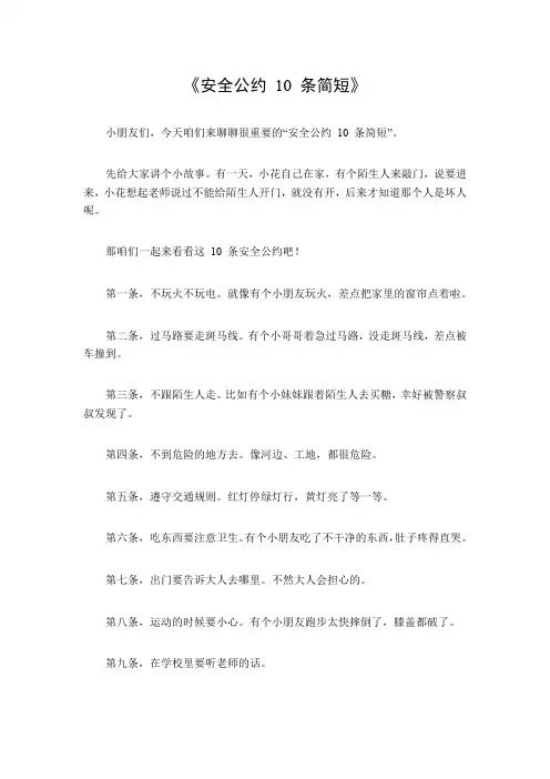 安全公约10条简短