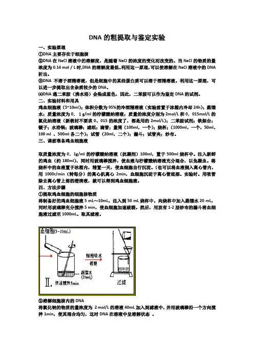 (完整版)DNA粗提取和鉴定实验